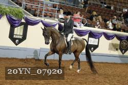 20YN_07920 thumbnail