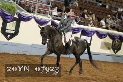 20YN_07923 thumbnail