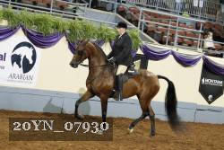 20YN_07930 thumbnail