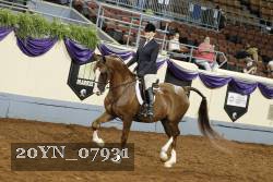 20YN_07931 thumbnail