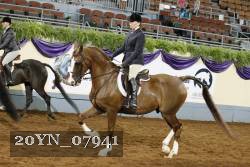20YN_07941 thumbnail