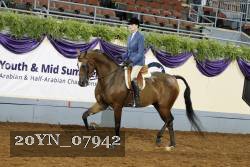 20YN_07942 thumbnail