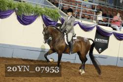 20YN_07953 thumbnail
