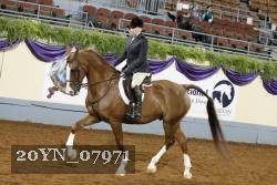 20YN_07971 thumbnail