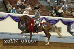 20YN_08097 thumbnail