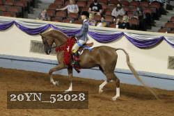 20YN_52028 thumbnail