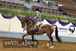 20YN_43629 thumbnail