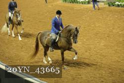 20YN_43665 thumbnail