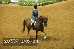 20YN_43672 thumbnail