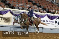 20YN_43742 thumbnail