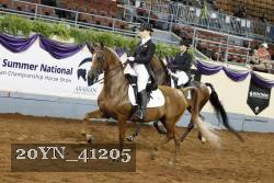 20YN_41205 thumbnail
