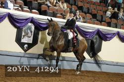 20YN_41294 thumbnail