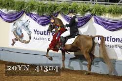 20YN_41304 thumbnail