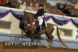 20YN_41312 thumbnail