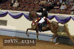 20YN_41314 thumbnail