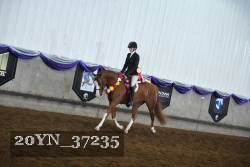 20YN_37235 thumbnail