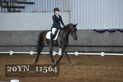20YN_11564 thumbnail