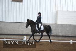 20YN_11571 thumbnail