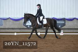 20YN_11572 thumbnail
