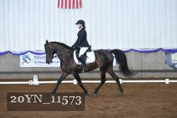 20YN_11573 thumbnail