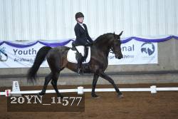 20YN_11577 thumbnail