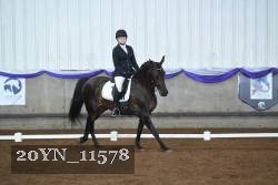 20YN_11578 thumbnail