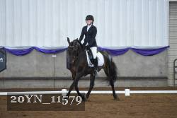 20YN_11579 thumbnail