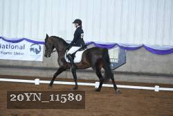 20YN_11580 thumbnail