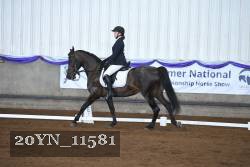 20YN_11581 thumbnail