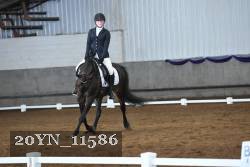 20YN_11586 thumbnail