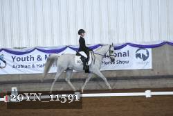 20YN_11591 thumbnail