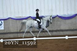 20YN_11592 thumbnail
