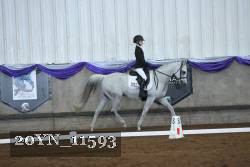 20YN_11593 thumbnail