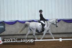 20YN_11599 thumbnail