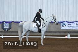 20YN_11603 thumbnail