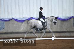 20YN_11633 thumbnail