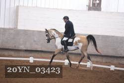 20YN_03423 thumbnail