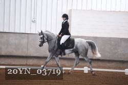 20YN_03719 thumbnail