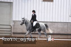 20YN_03720 thumbnail
