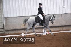 20YN_03725 thumbnail