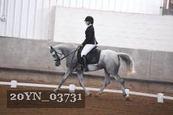 20YN_03731 thumbnail