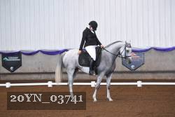 20YN_03741 thumbnail