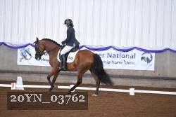 20YN_03762 thumbnail