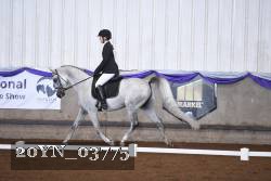 20YN_03775 thumbnail