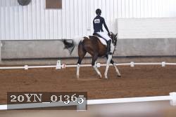 20YN_01365 thumbnail