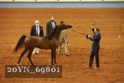 20YN_69801 thumbnail