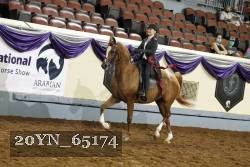 20YN_65174 thumbnail