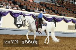 20YN_38609 thumbnail