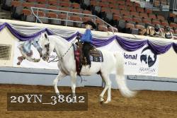 20YN_38612 thumbnail