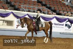 20YN_38617 thumbnail